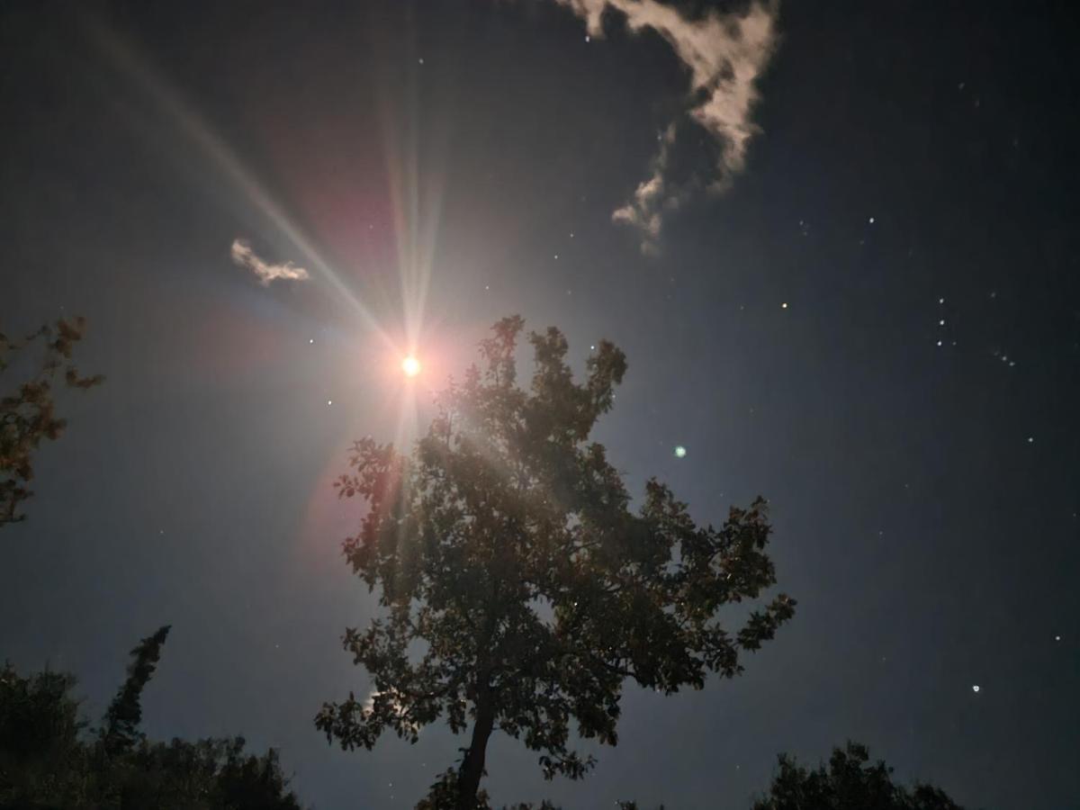 Ionian Pearl Lägenhet Dhërmi Exteriör bild